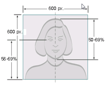 Digital photo Size for International driver license online application